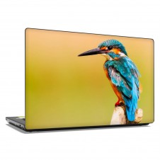 Наклейка на ноутбук - Kingfisher