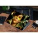 Наклейка на ноутбук - Overwatch Tracer