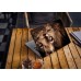 Наклейка на ноутбук - Two lions Наклейка на ноутбук - Two lions