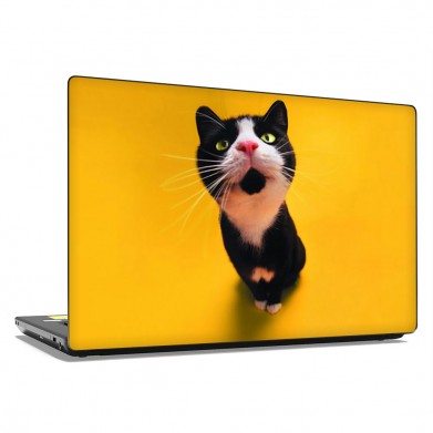 Наклейка на ноутбук - Nosey Cat Наклейка на ноутбук - Nosey Cat
