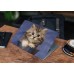 Наклейка на ноутбук - Котенок в чашке