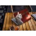 Наклейка на ноутбук - Singapura Cat Наклейка на ноутбук - Singapura Cat