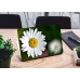 Наклейка на ноутбук - Oxeye Daisys