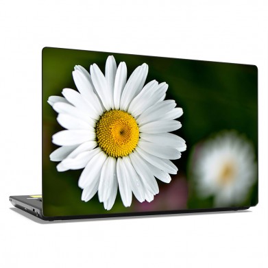 Наклейка на ноутбук - Oxeye Daisys