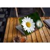 Наклейка на ноутбук - Oxeye Daisys