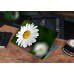 Наклейка на ноутбук - Oxeye Daisys