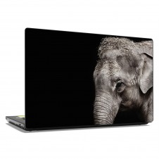 Наклейка на ноутбук - Elephant