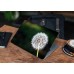 Наклейка на ноутбук - Dandelion