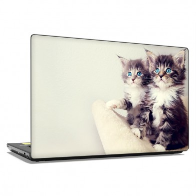 Наклейка на ноутбук - Two kittens Наклейка на ноутбук - Two kittens