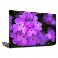Наклейка на ноутбук - Purple Phlox