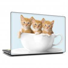 Наклейка на ноутбук - Three kittens