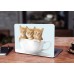 Наклейка на ноутбук - Three kittens Наклейка на ноутбук - Three kittens