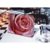Наклейка на ноутбук - Pink Rose