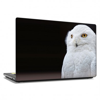 Наклейка на ноутбук - White Owl Наклейка на ноутбук - White Owl