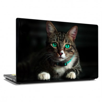 Наклейка на ноутбук - Green eyes cat Наклейка на ноутбук - Green eyes cat