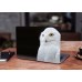 Наклейка на ноутбук - White Owl Наклейка на ноутбук - White Owl
