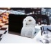 Наклейка на ноутбук - White Owl Наклейка на ноутбук - White Owl