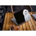 Наклейка на ноутбук - White Owl Наклейка на ноутбук - White Owl