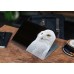 Наклейка на ноутбук - White Owl Наклейка на ноутбук - White Owl